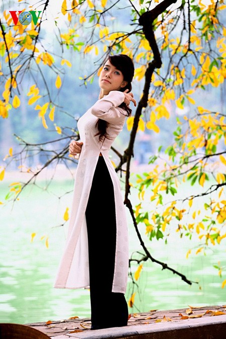 The ancient lecythidaceae trees by Hoan Kiem lake are shedding their leaves   - ảnh 10